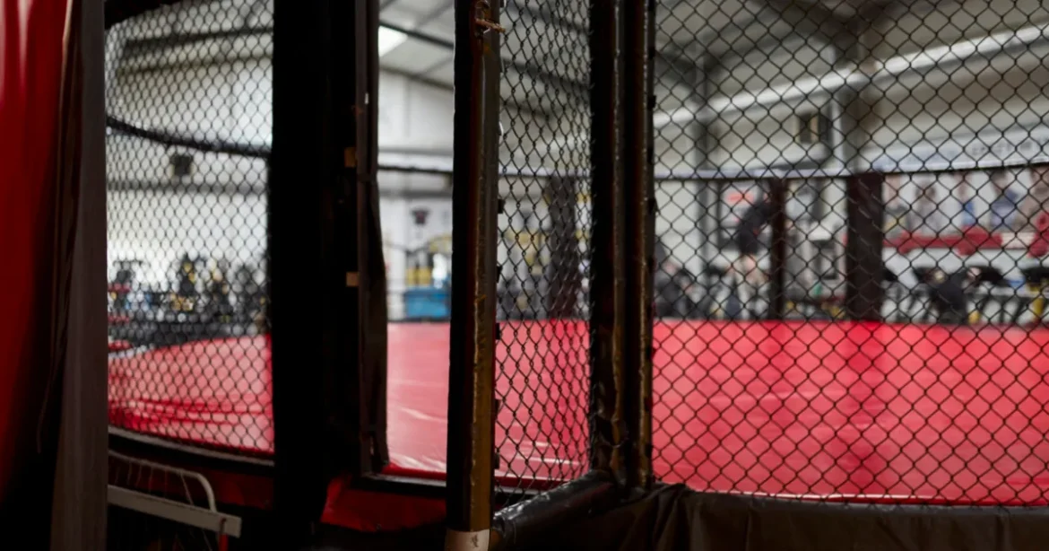 Elképesztő lehetőség előtt a magyar ketrecharcos: UFC-szerződést kaphat Növényi Norbert