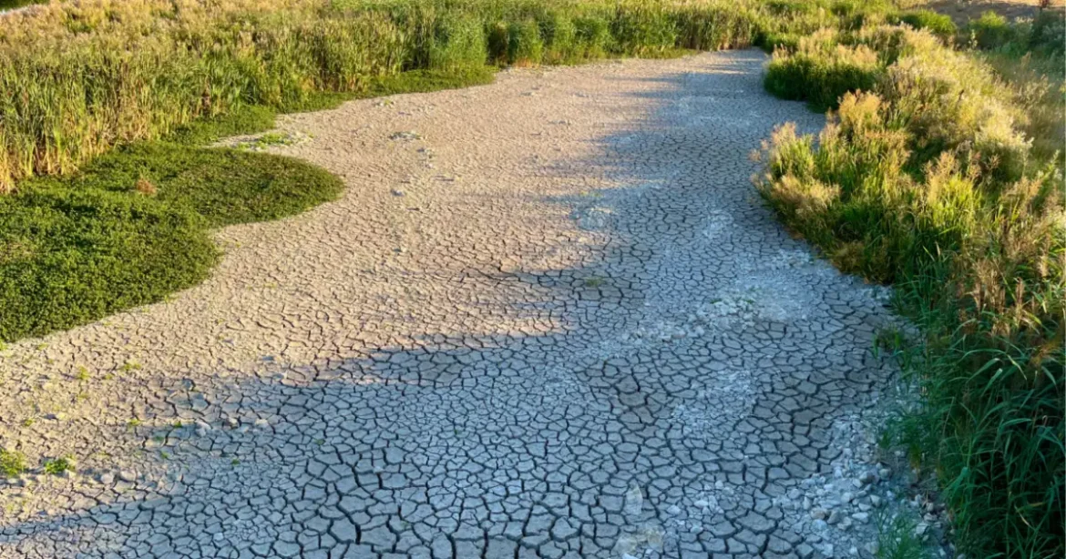 Készüljön fel: ez a hét dönti el, meddig marad a fojtogató hőség