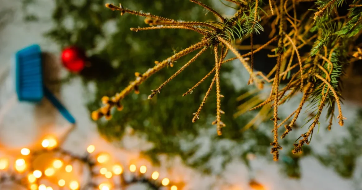 Nem lesz ledolgozós szombat decemberben, a 24-e munkaszüneti nap
