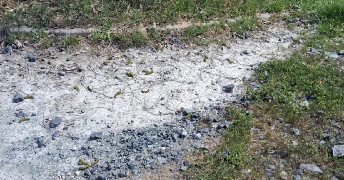 Sok kilométernyi aszfaltban találtak rákkeltő azbesztet, azonnal lépni kell!