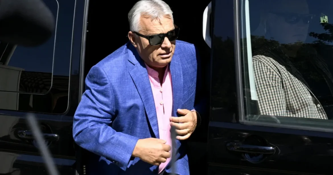 Titkos árrésstop-tanulmány alapján regulázta a boltokat a kormány