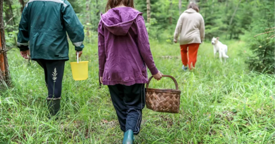 A cikk eredeti címe és annak jelentése a magyar olvasók számára